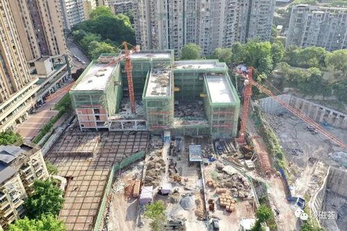 沙坪坝最新爆料,揭秘神秘项目背后的故事 第1张 沙坪坝最新爆料,揭秘神秘项目背后的故事 第1张